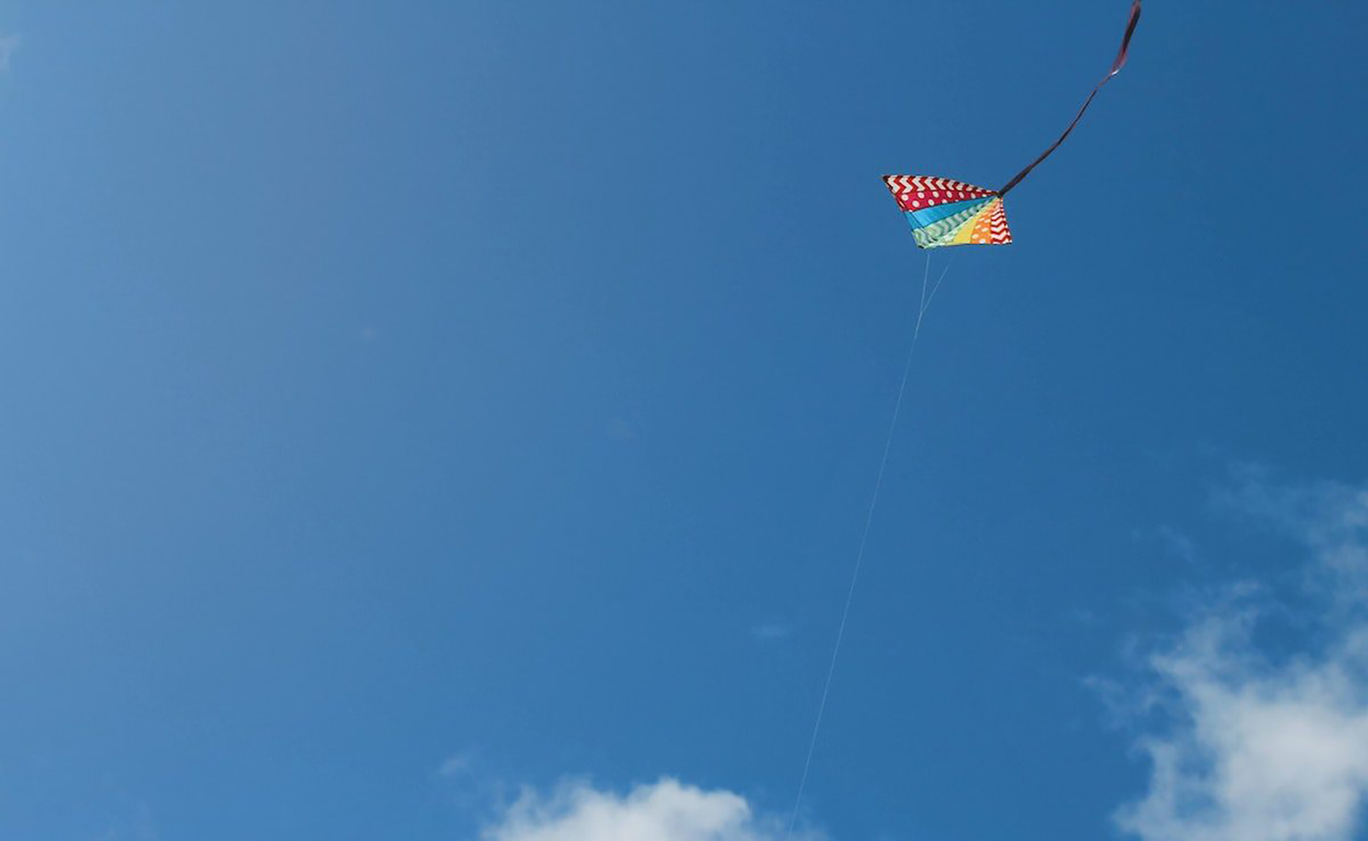 Embedding transformation | Entec Si | Birmingham